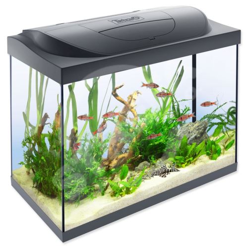 Zestaw akwariowy Starter Line LED 61 x 32 x 51 cm 80 l