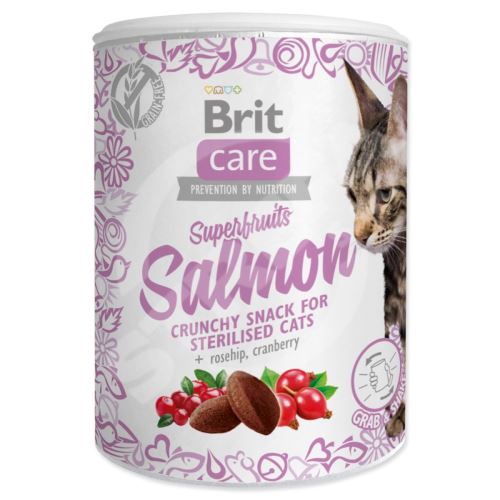 Brit Care Cat Snack Superfruits łosoś 100g