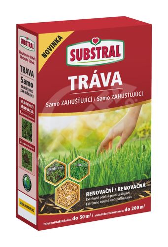 EVERGREEN Renovation Samoschnąca mieszanka traw 1kg